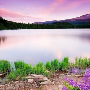 Meet your Posher, Ashlee